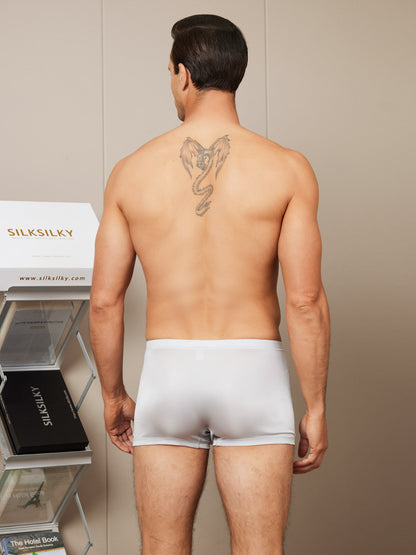 Men‘s Mulberry Silk Knitted Boxer Briefs Underwear