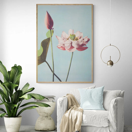 Japanese Lotus Flowers by Ogawa Kazumasa